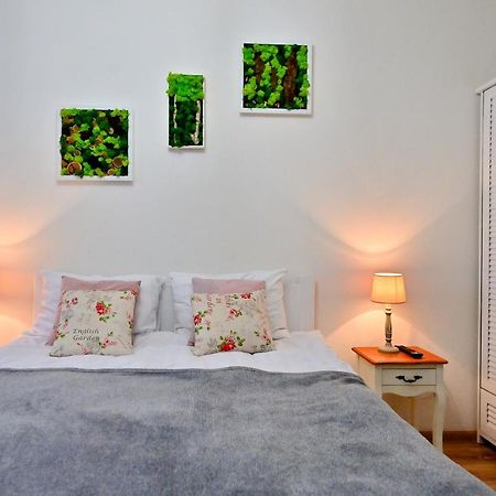 Transilvania Apartment 锡比乌 外观 照片