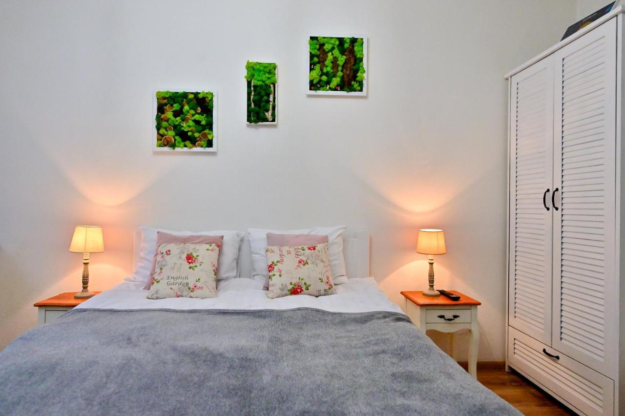 Transilvania Apartment 锡比乌 外观 照片