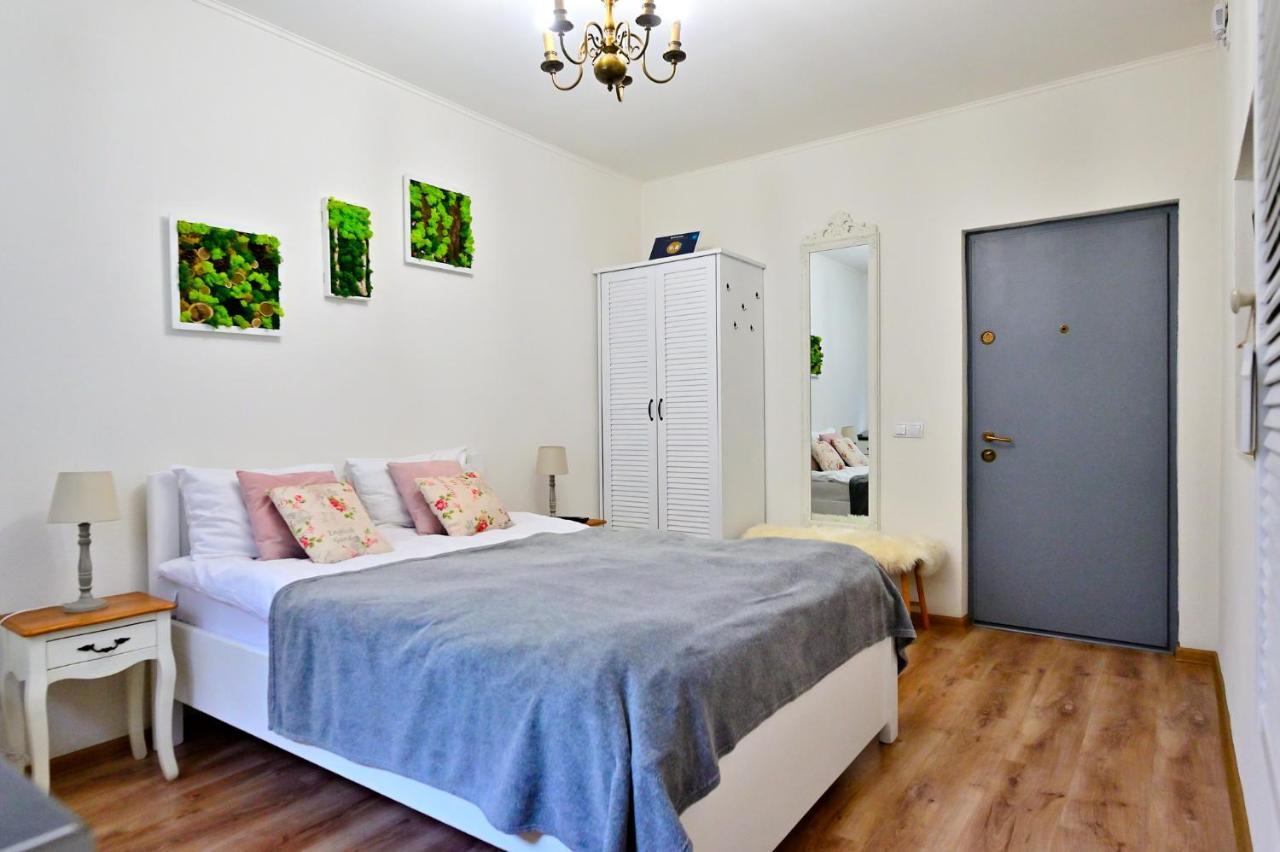 Transilvania Apartment 锡比乌 外观 照片
