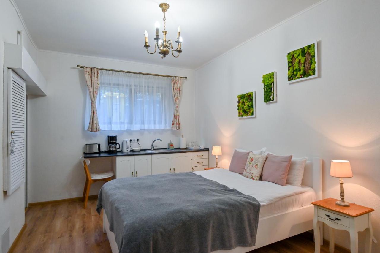 Transilvania Apartment 锡比乌 外观 照片
