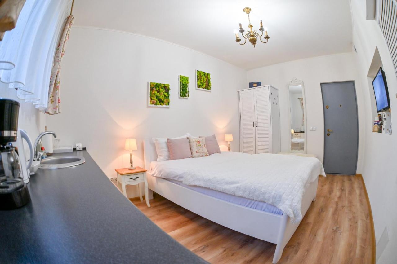Transilvania Apartment 锡比乌 外观 照片